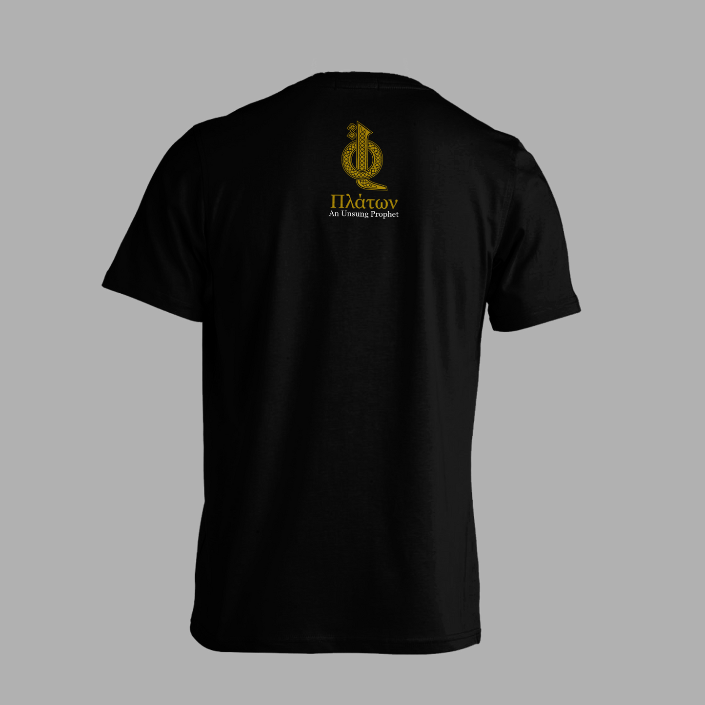 T-Shirt "Only The Dead Have Seen The End of War"