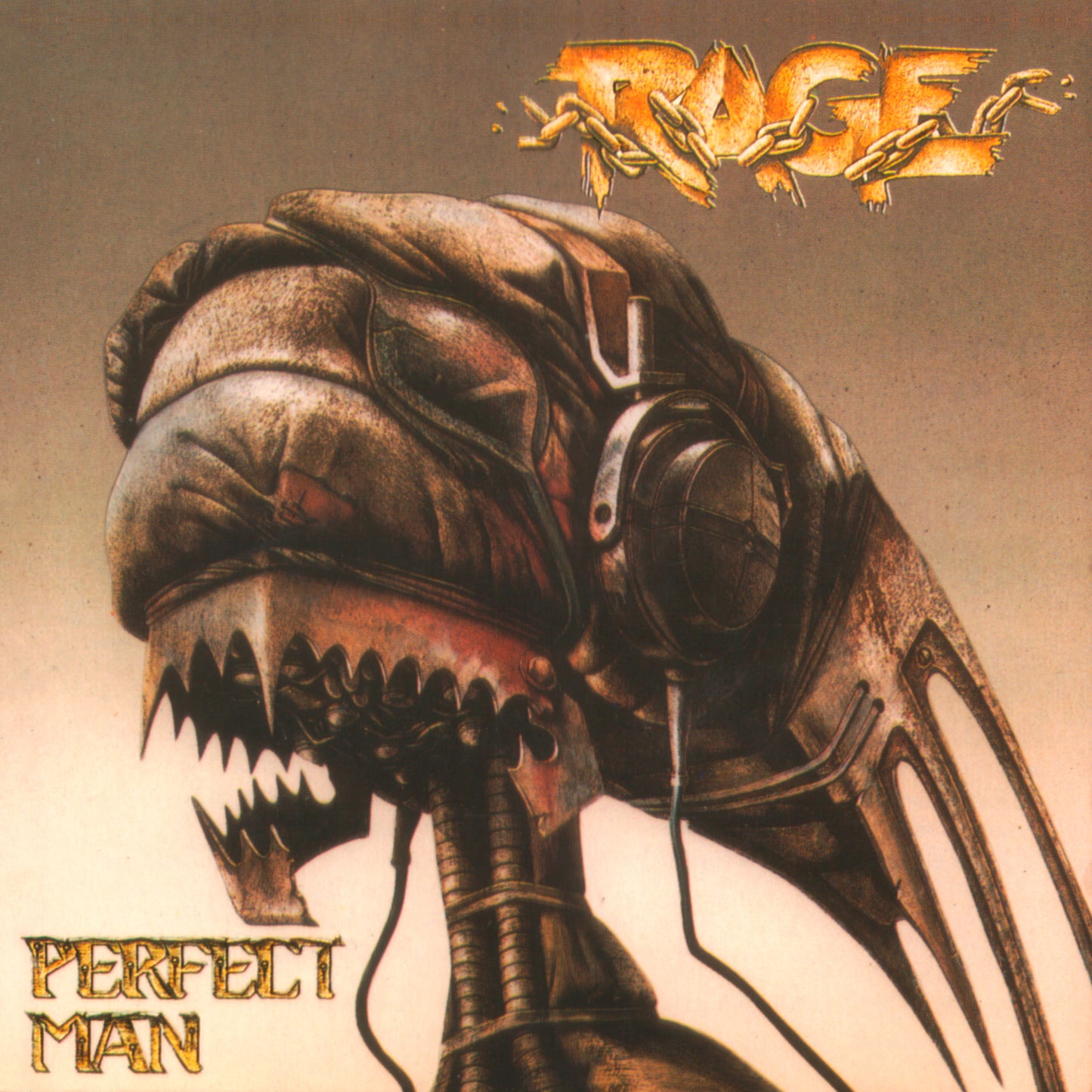 Rage CD "Perfect Man"