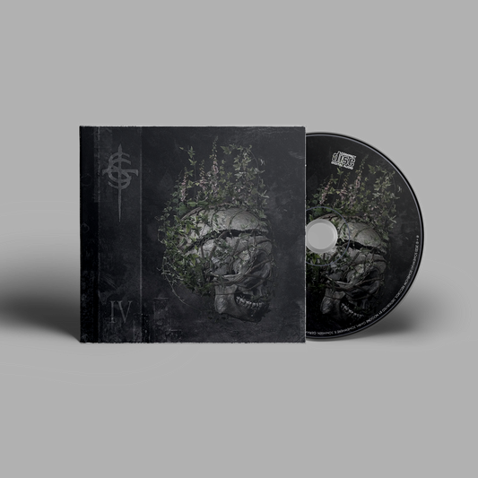 CD "The Healing"